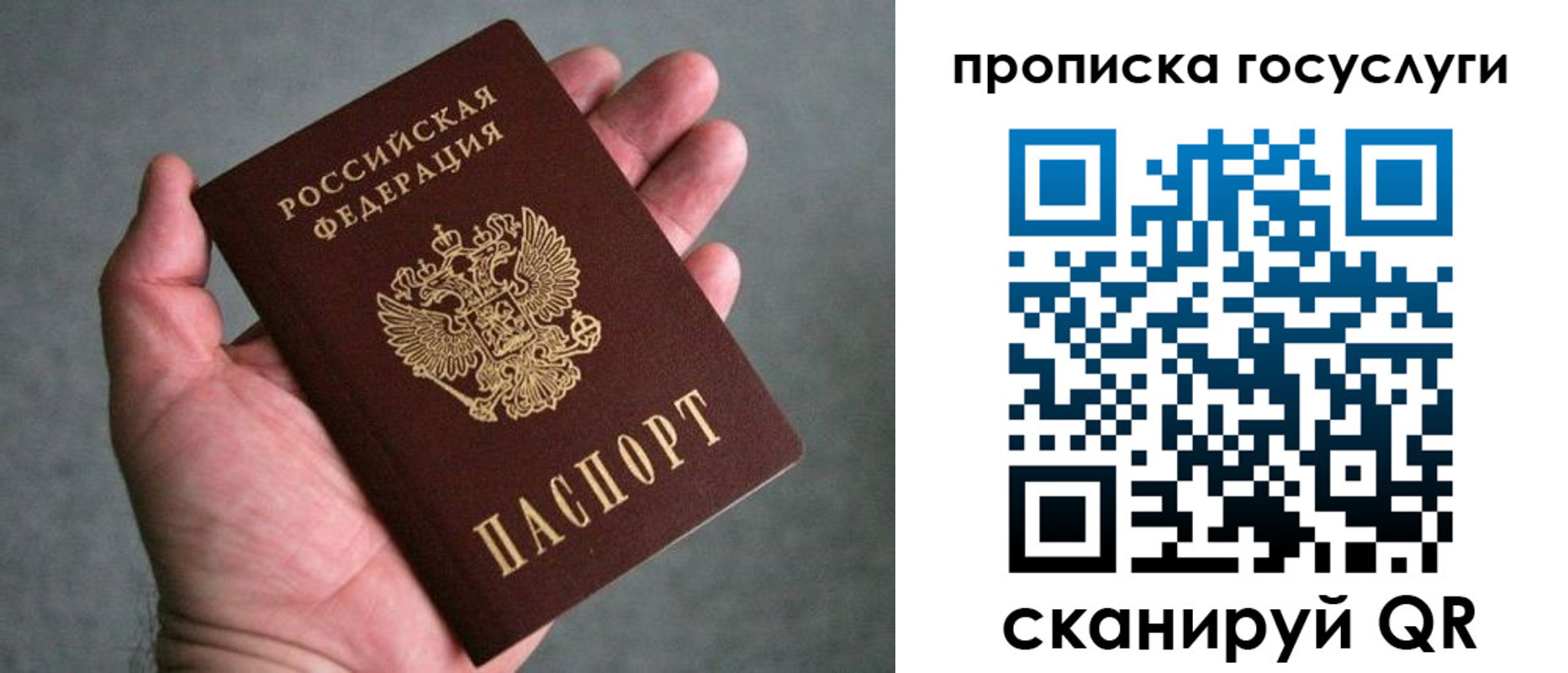 прописка 2025 в Ногинске